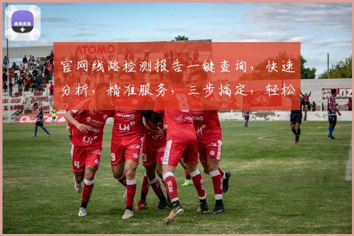 官网线路检测报告一键查询，快速分析，精准服务，三步搞定，轻松查看。